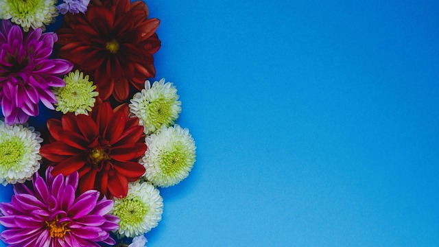 战略合作的 战略合作的