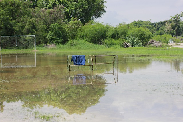 恩比德与 恩比德与