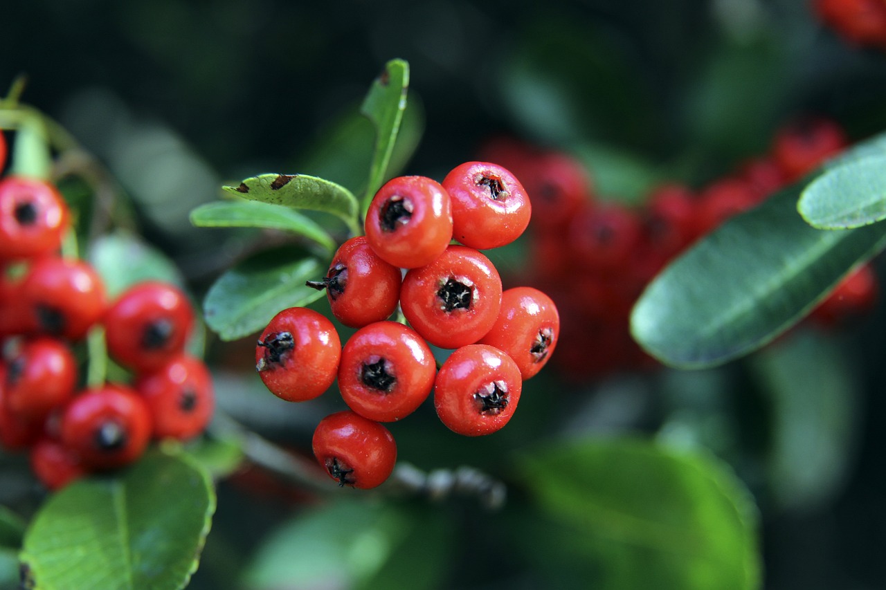 全攻全守 全攻全守