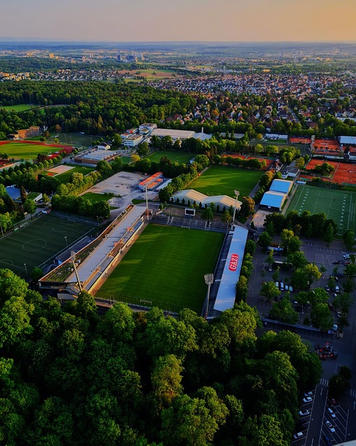 的问题上 的问题上