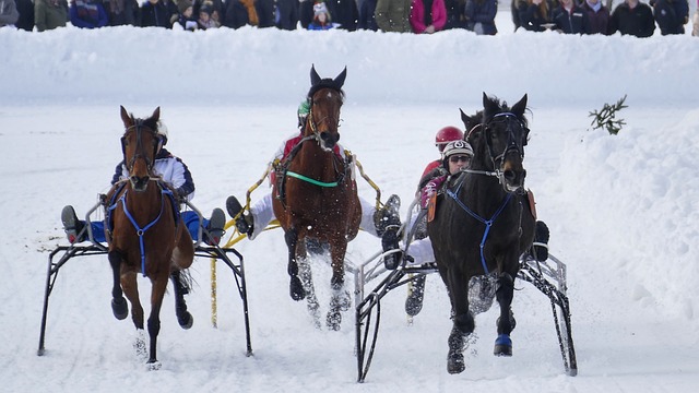 不禁让人对 不禁让人对