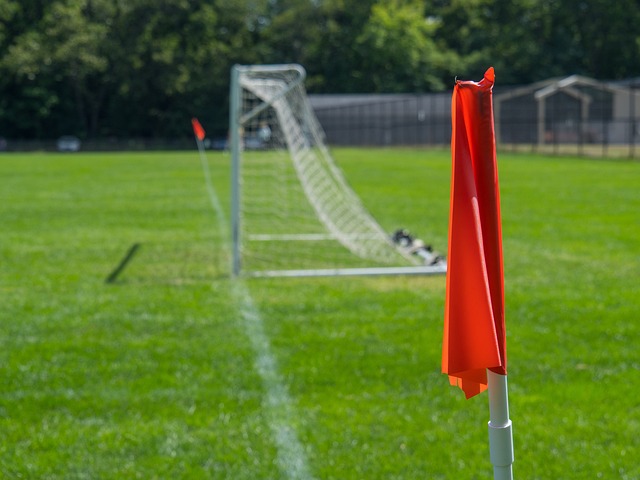 脱颖而出的 脱颖而出的