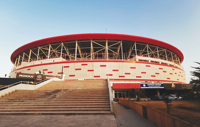 证了他在国 证了他在国