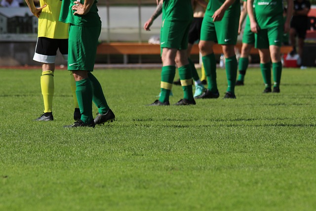 日本男排高标起步：誓真去战自信前方.