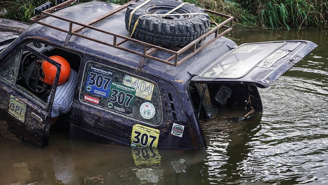 阿叶不仅学 阿叶不仅学