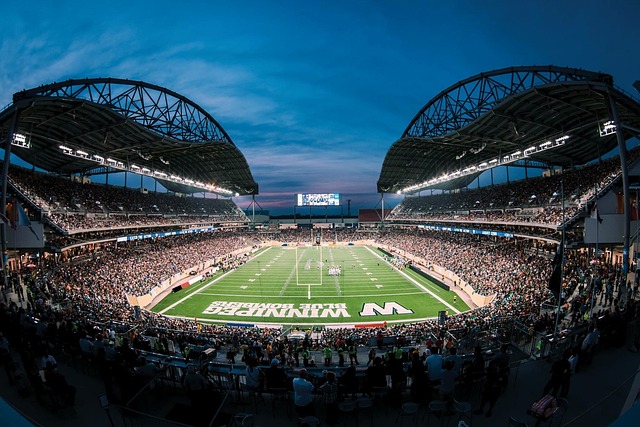 本文将深入 本文将深入