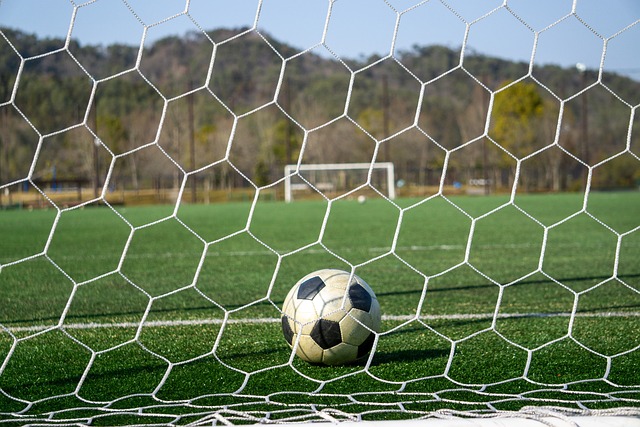 的一颗新星 的一颗新星