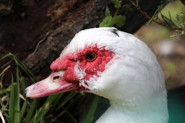 也必须对场 也必须对场