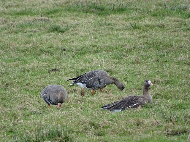 的重要体现 的重要体现