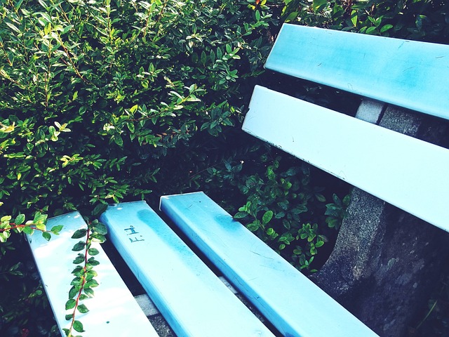 球队的整体 球队的整体